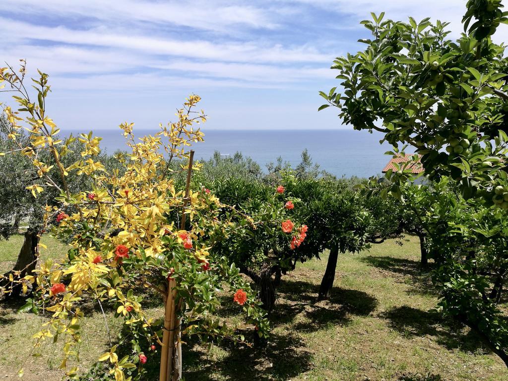 Villa Rosaria Vasto Exterior photo